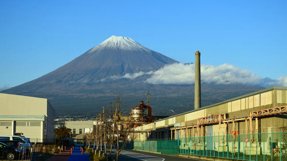 Strategic Market Intelligence & Industry Insights: Navigating Indonesia's Palm Biomass Sector with APCASI