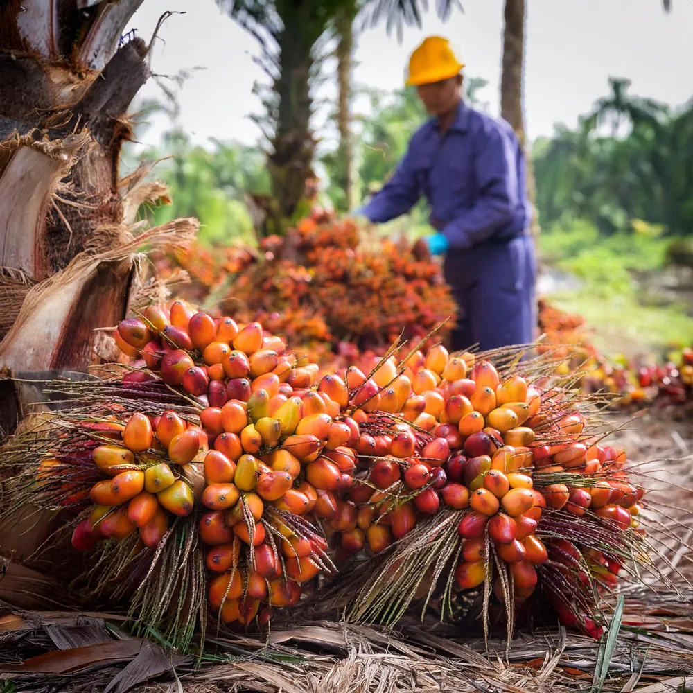 Measurable Environmental Impact and Decarbonization Strategies