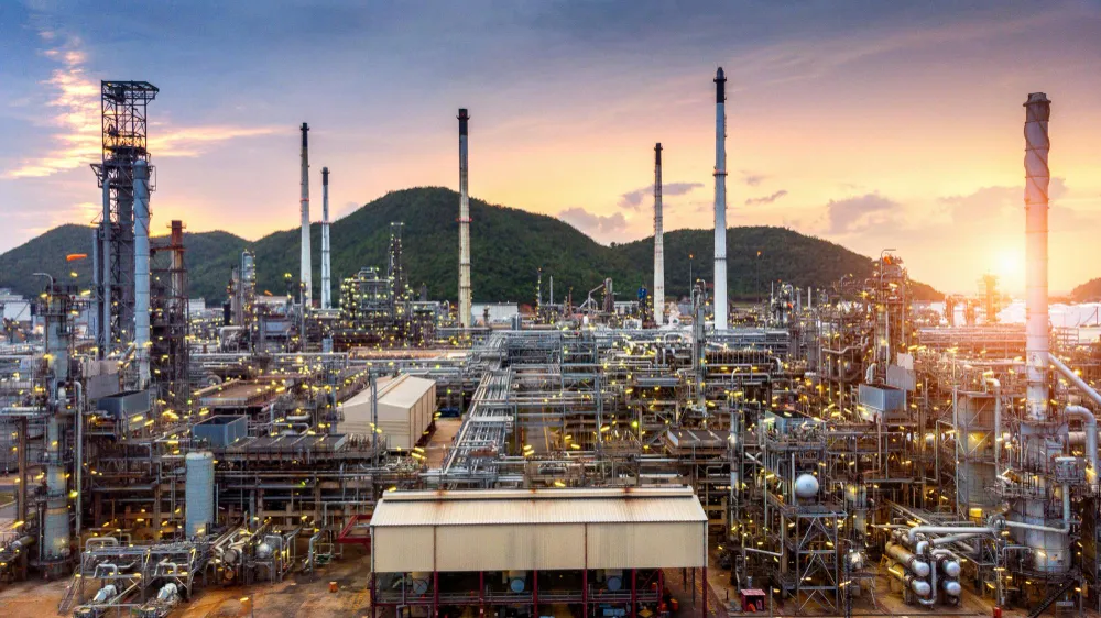 Forging a Sustainable Global Energy Supply: The Role of Indonesian Palm Biomass