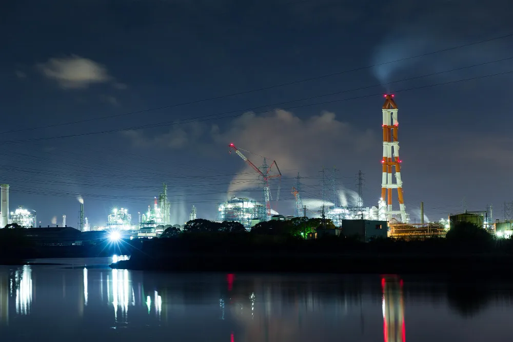 Driving the Circular Economy with Palm Biomass