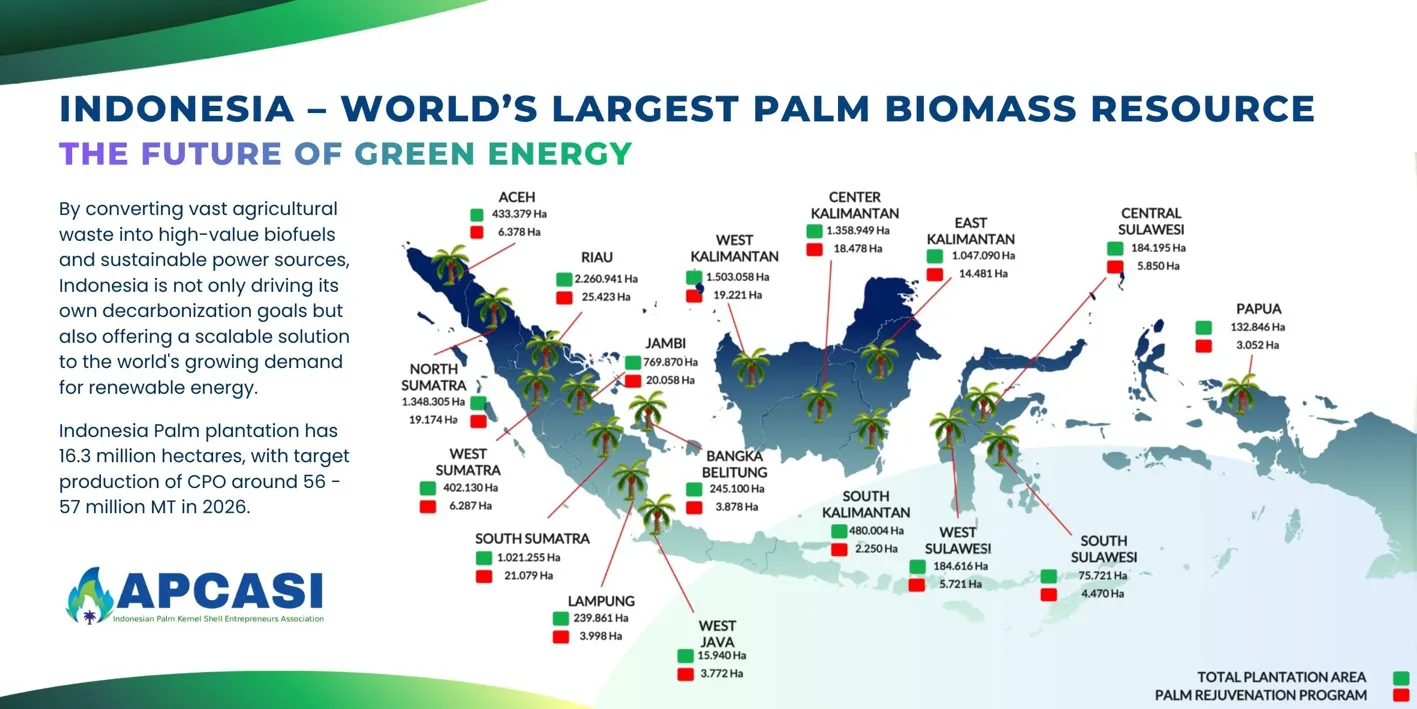Indonesia – World’s Largest Palm Biomass Resource